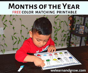 Months of the Year activity for kids