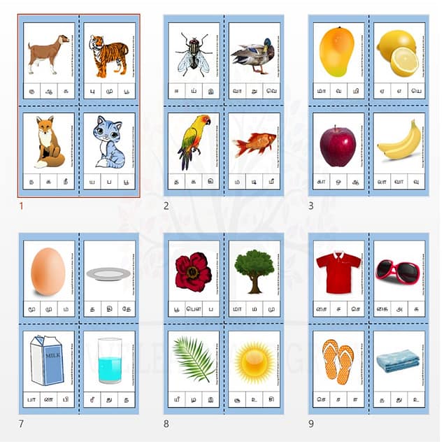 tamil beginning letter clip cards we learn and grow