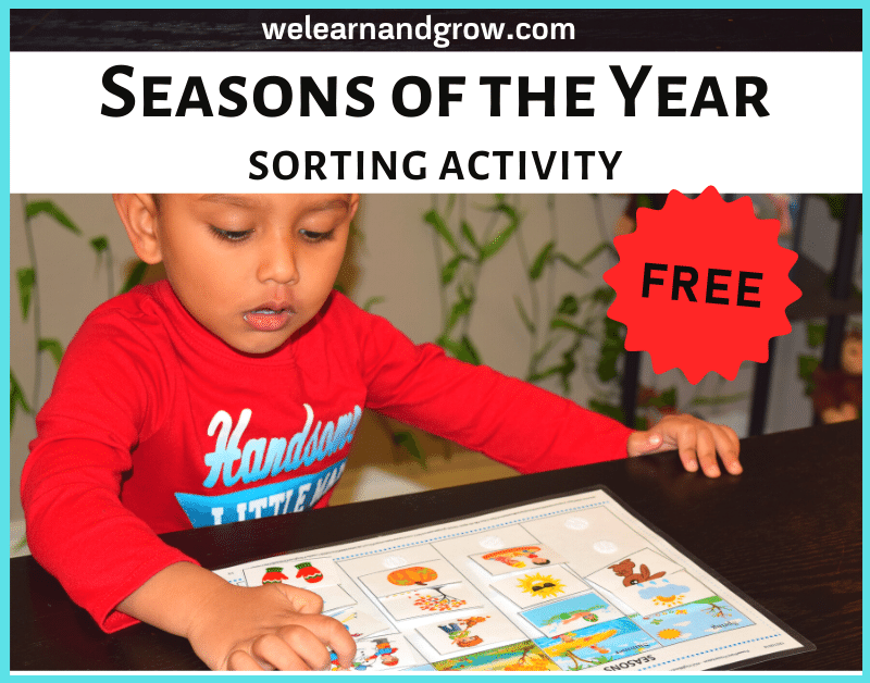 "FREE Seasons of the Year Printable I Sorting Activity - We Learn and Grow"
